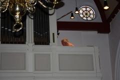 IMG_4075