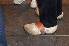 Werkpaard Blaricum