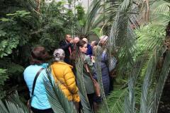 TVE-excursie-pinetum5