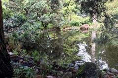 TVE-excursie-pinetum9