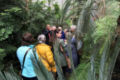 TVE-excursie-pinetum05