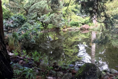 TVE-excursie-pinetum09