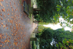 Themadag 2024 excursie1 Algemene begraafplaats Muiderberg