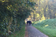 Themadag 2024 excursie3 Echobos