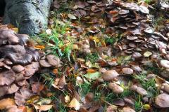 Opendag-25okt2025-17