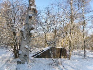 Groepsschuilplaats in De Fransche Kamp